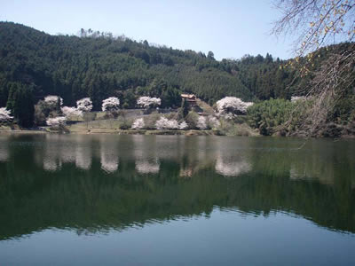 09.jpg