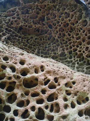 1203IMGP0108.jpg