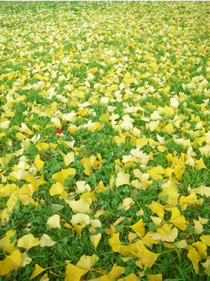 1203IMGP0133.jpg