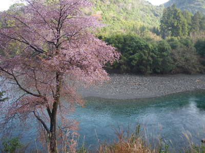 20100313-1%20006.jpg