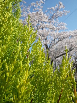 201003271025.jpg