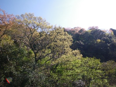 201003271142.jpg
