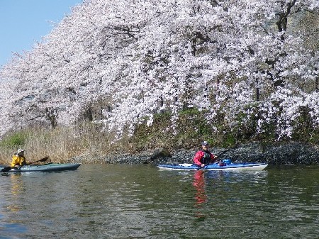 201004101.jpg