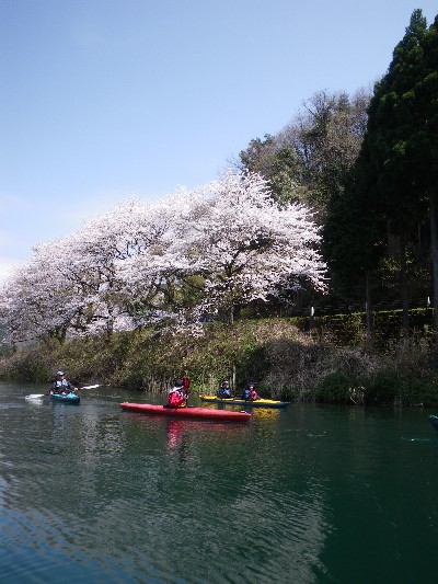 201004103.jpg