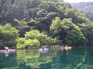 2010061203.jpg