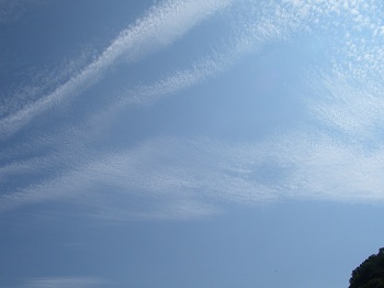 20100919%200231.jpg