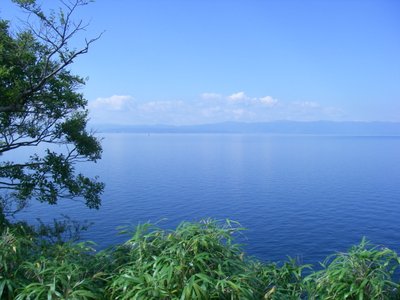 20101017%20197-001.jpg