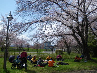 20120407IMGP0081.jpg