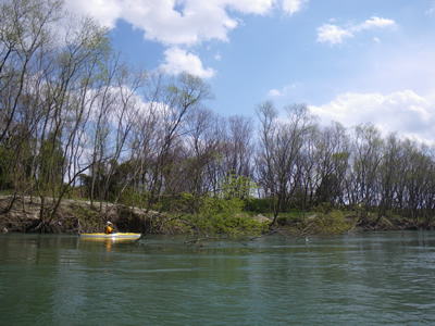 20120407IMGP0105.jpg