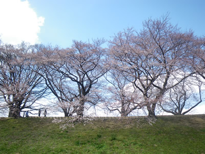20120407IMGP0125.jpg
