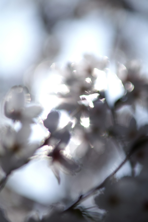 20120412PICT0055.jpg