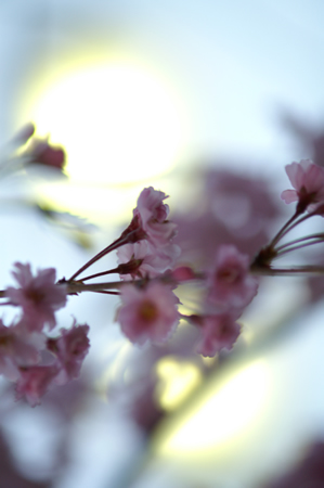 20120412PICT0104.jpg
