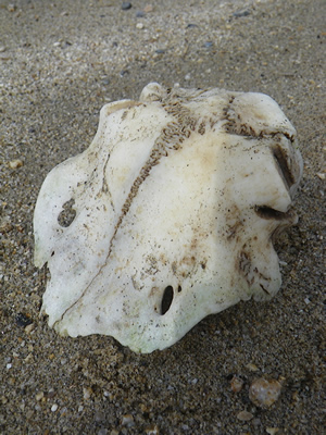 20120414IMGP0076.jpg