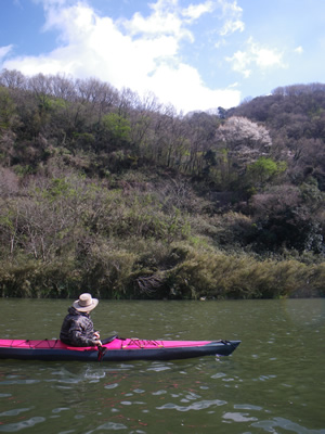 20120414IMGP0095.jpg