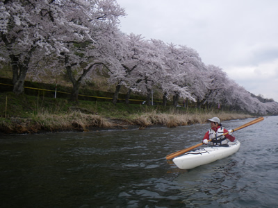 20120421IMGP0091.jpg