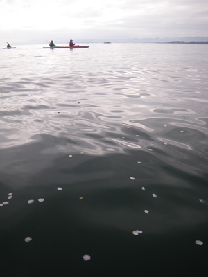 20120421IMGP0161.jpg