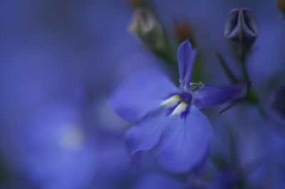 20120603IMGP0063.jpg