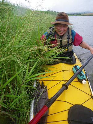 20120616IMGP0136.jpg