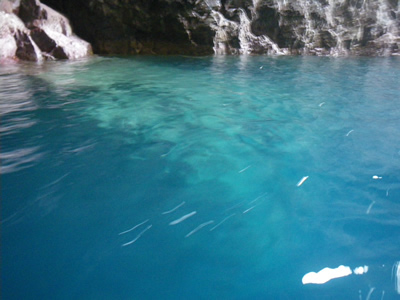 20120728IMGP0059.jpg