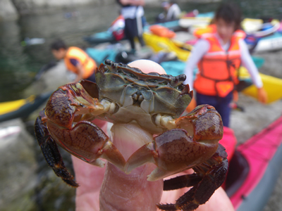 20120728IMGP0099.jpg