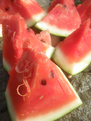 20120728IMGP0111.jpg