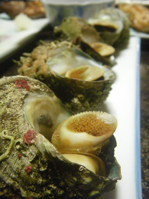 20120728IMGP0135.jpg