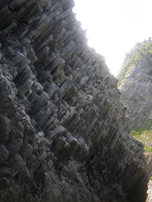 20120729IMGP0096.jpg