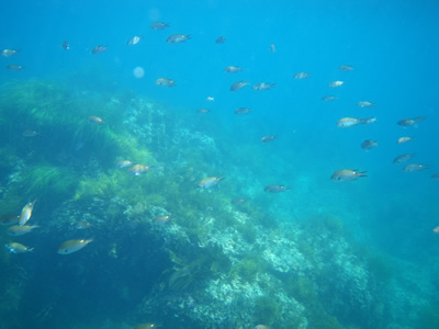 20120729IMGP0122.jpg