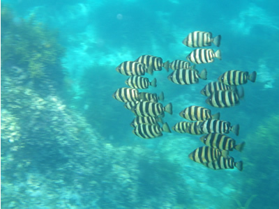 20120729IMGP0123.jpg