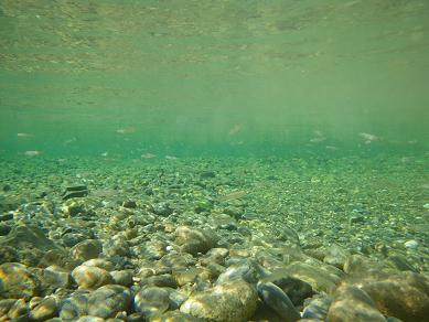 20120817IMGP0021.JPG