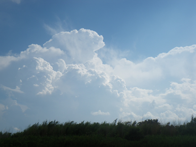 20120818IMGP00189.jpg