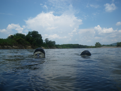20120818IMGP0041.jpg