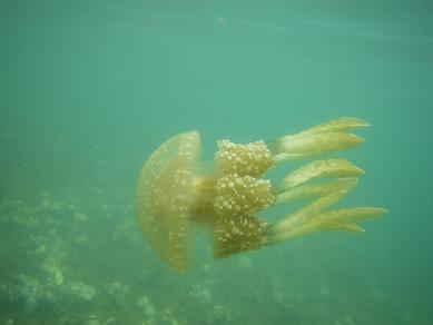 20120822IMGP0019.JPG