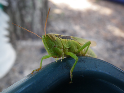 201209011IMGP0041.jpg