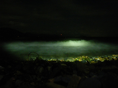 20120901IMGP0003.jpg