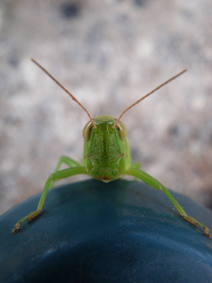 20120901IMGP0042.jpg