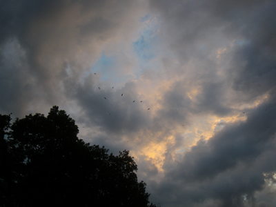 20120901IMGP0164.jpg