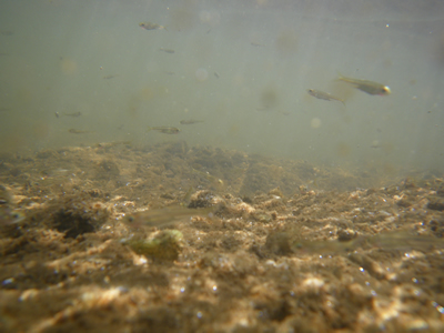 20120915IMGP0094.jpg