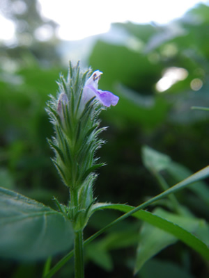 20120915IMGP0142.jpg