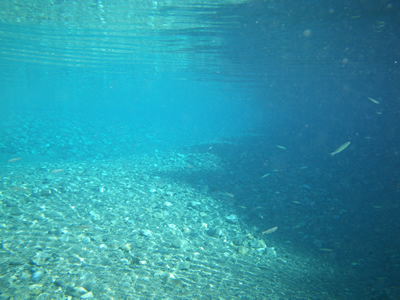 20121013IMGP0014.jpg