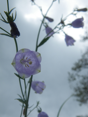 20121014IMGP0007.jpg