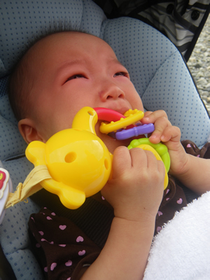 20121014IMGP0030.jpg