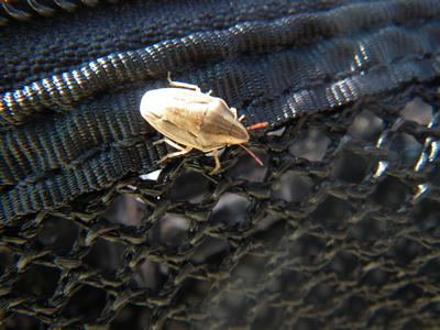 20121021IMGP1397.jpg