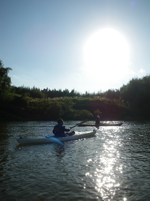 20121021IMGP1501.jpg