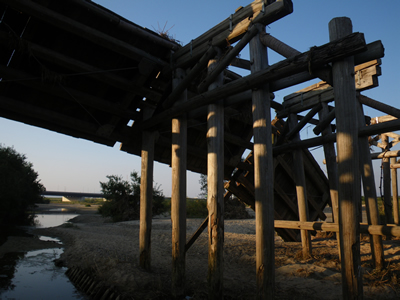 20121021IMGP1550.jpg