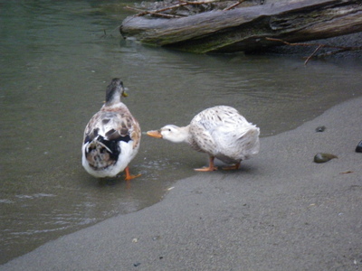 20121027IMGP0082.JPG