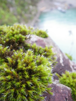 20121027IMGP00821.JPG