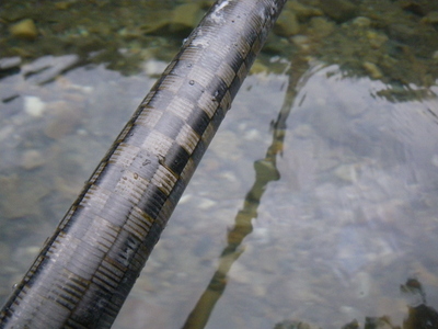 20121027IMGP00829.JPG