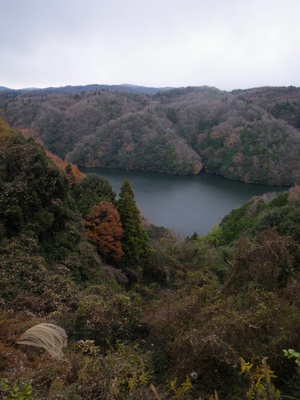 20121208IMGP0007.JPG
