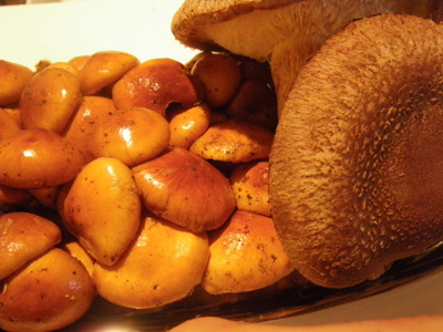20121208IMGP00073.JPG